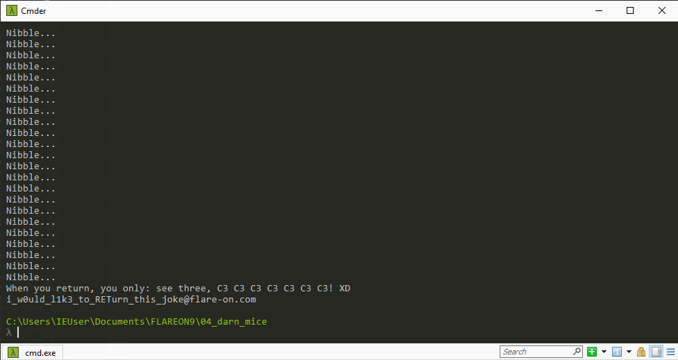 4-darnmice-flag-output