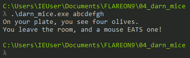 Flare-on 9 darn_mice binary output with random input
